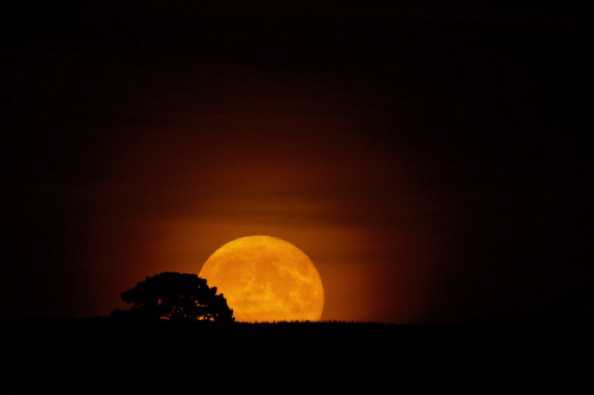21 September 2021 - 20-11-23
Moments after moonrise.
---------------
Moonrise over Kingswear